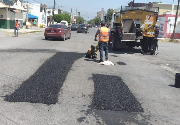 Impulsan extensionismo forestal en apoyo a productores tamaulipecos