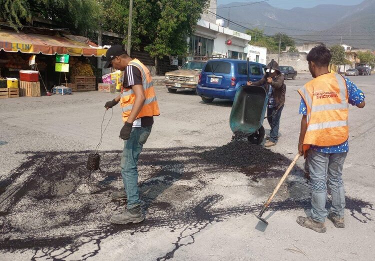 Impulsan extensionismo forestal en apoyo a productores tamaulipecos
