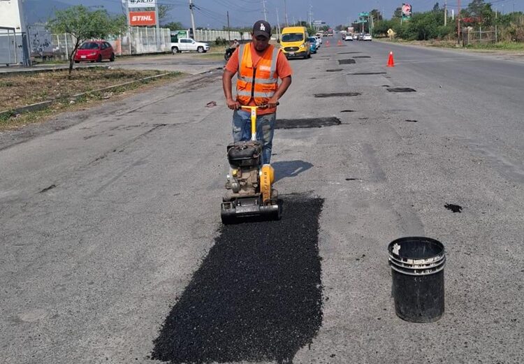 Impulsan extensionismo forestal en apoyo a productores tamaulipecos