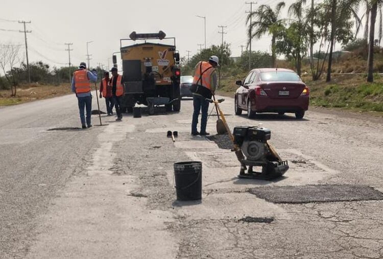 Impulsan extensionismo forestal en apoyo a productores tamaulipecos