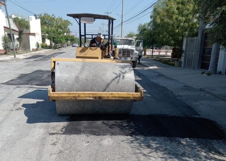 Impulsan extensionismo forestal en apoyo a productores tamaulipecos