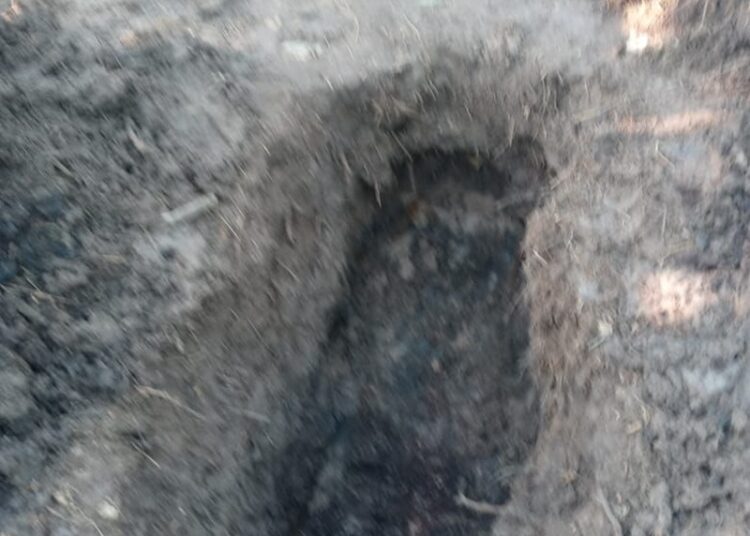 Encuentran fosas clandestinas en Reynosa con restos de por lo menos 10 personas