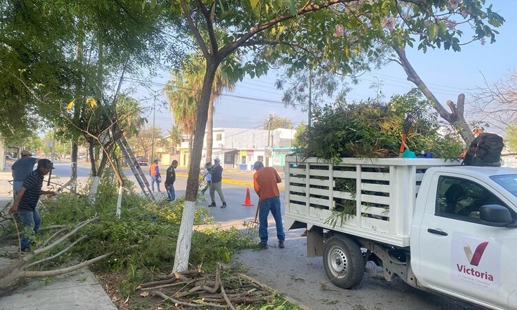 Fortalece municipio limpia y mantenimiento de vialidades y áreas verdes