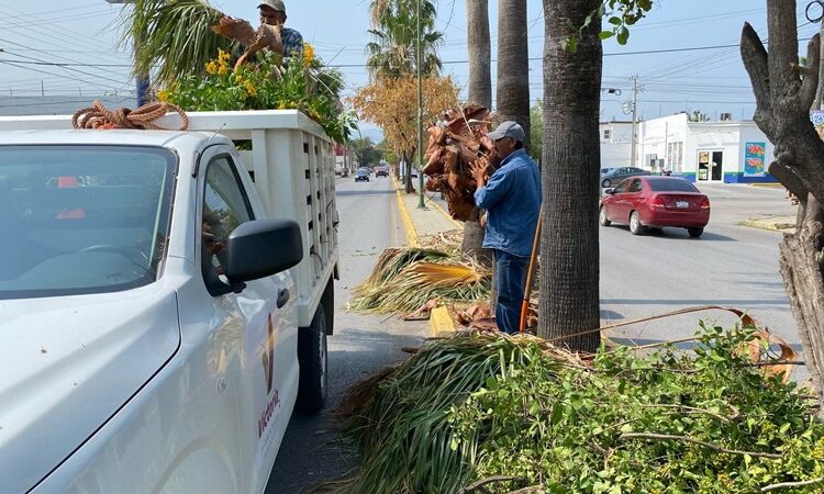 Fortalece municipio limpia y mantenimiento de vialidades y áreas verdes