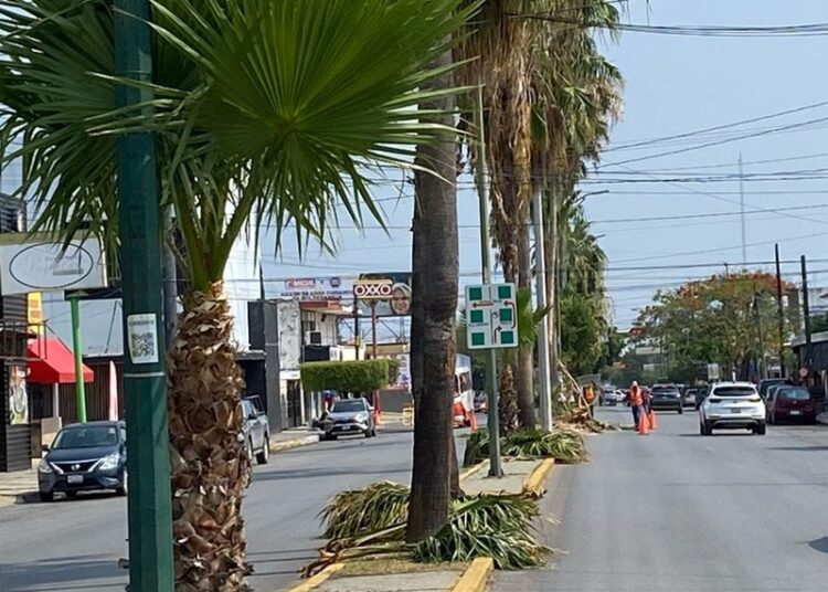 Fortalece municipio limpia y mantenimiento de vialidades y áreas verdes
