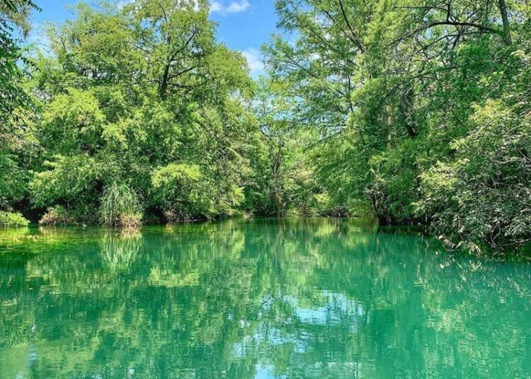 Gana premio turístico nacional Reserva de la Biosfera El Cielo