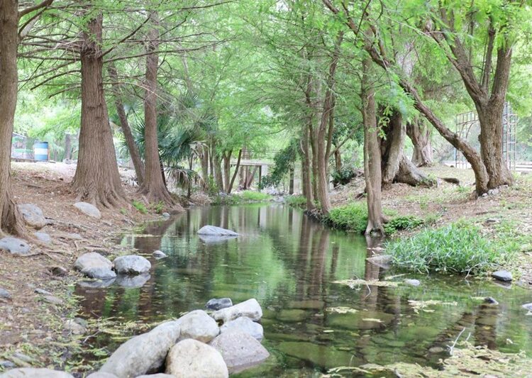 Genera periodo vacacional derrama de 185 mdp en Victoria