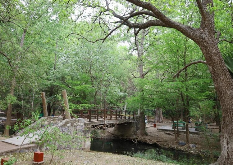 Genera periodo vacacional derrama de 185 mdp en Victoria