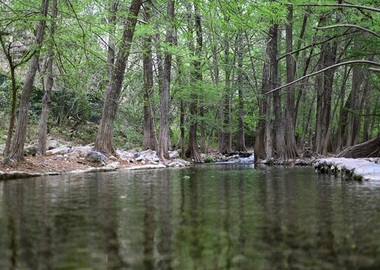 Genera periodo vacacional derrama de 185 mdp en Victoria