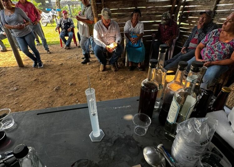 Impulsan extensionismo forestal en apoyo a productores tamaulipecos