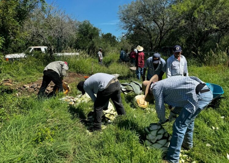Impulsan extensionismo forestal en apoyo a productores tamaulipecos