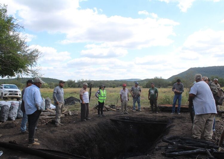 Impulsan extensionismo forestal en apoyo a productores tamaulipecos