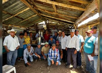 Impulsan extensionismo forestal en apoyo a productores tamaulipecos