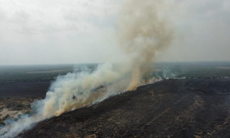 ¡Incendio en carretera causa accidente múltiple!