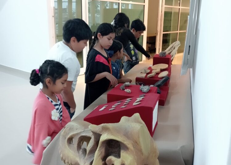 Invita NLD a participar en el Primer Rally del cineminuto juvenil