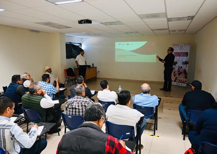 Mejoran productividad del sector ganadero y apícola de Tamaulipas