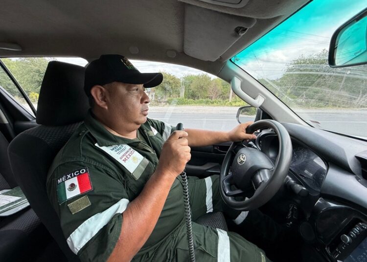 “Ofrecen Ángeles Verdes 259 servicios en carreteras”: Turismo