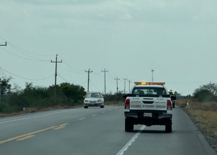 “Ofrecen Ángeles Verdes 259 servicios en carreteras”: Turismo