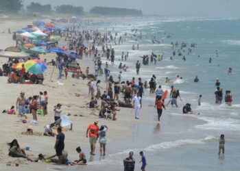 Piden a turistas cuidar llegada de tortugas en las playas de Tamaulipas