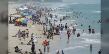 Piden a turistas cuidar llegada de tortugas en las playas de Tamaulipas