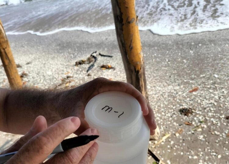 “Playas y balnearios en condiciones aptas para el periodo vacacional”: SST