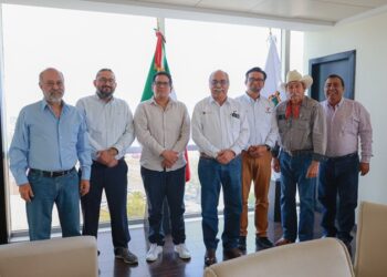 Proyecto de etanol transformará economía de sorgueros