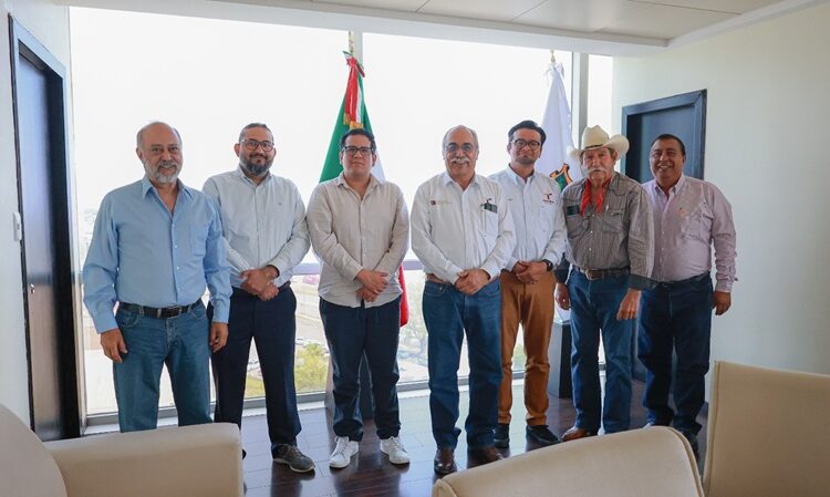 Proyecto de etanol transformará economía de sorgueros