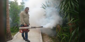 Reportan a Tamaulipas libre de Chikungunya y Zika, pero registra 118 casos de dengue