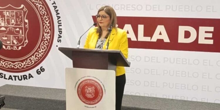 Reportan pagos de 78 mdp por el Impuesto Verde en Tamaulipas