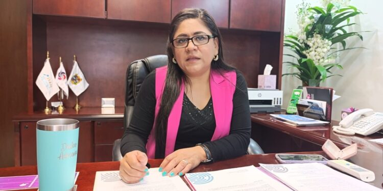 Revisa ITAIT 8 recursos de revisión y 23 denuncias de transparencia