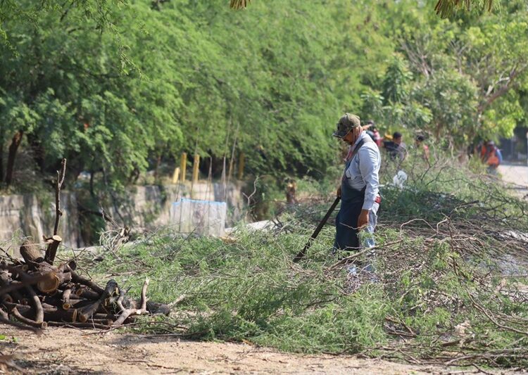 Supervisa alcalde limpieza de dren pluvial