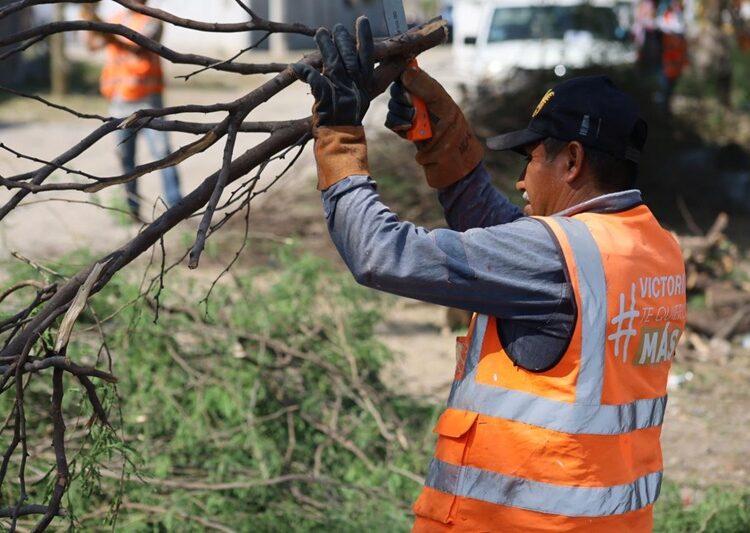Supervisa alcalde limpieza de dren pluvial