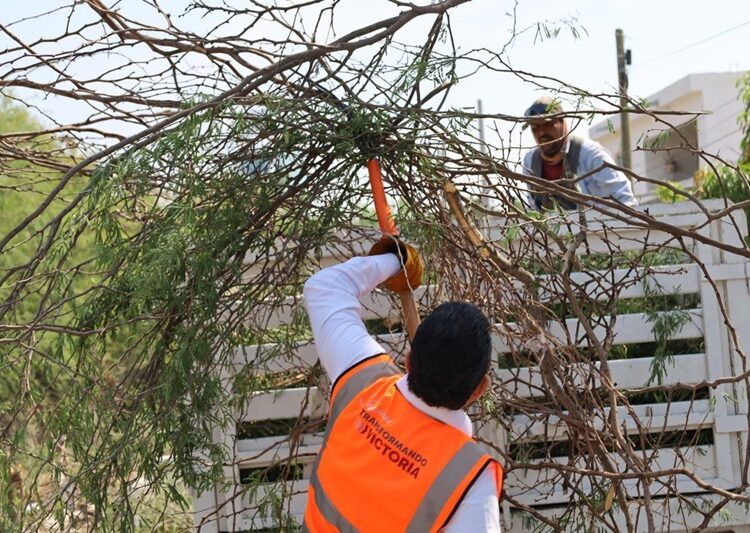Supervisa alcalde limpieza de dren pluvial