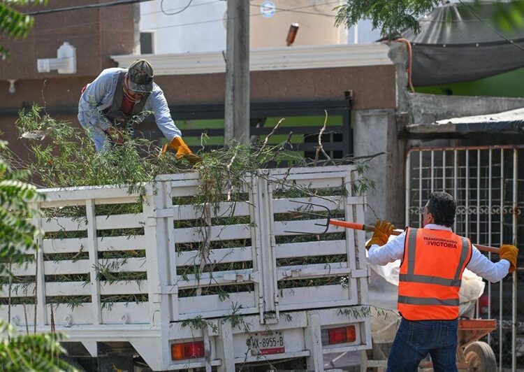 Supervisa alcalde limpieza de dren pluvial