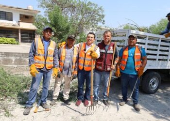 Supervisa alcalde limpieza de dren pluvial