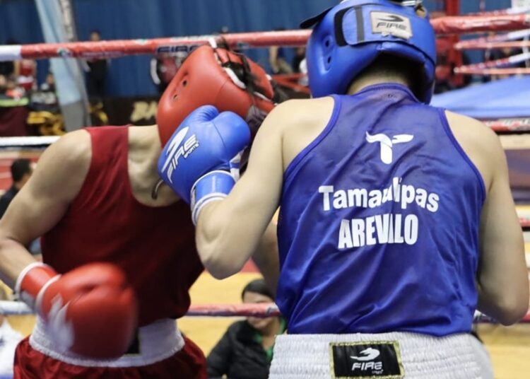 ¡Tamaulipas brilla en el Macro Regional de Boxeo!