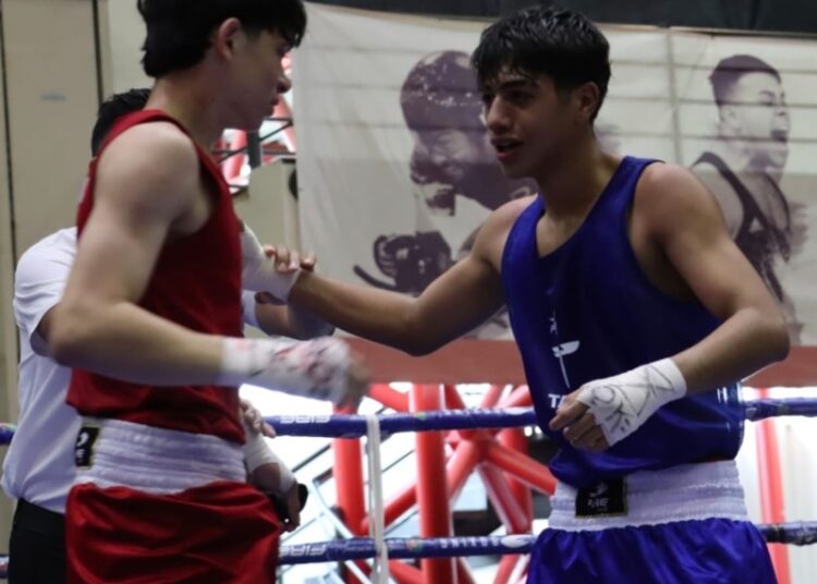 ¡Tamaulipas brilla en el Macro Regional de Boxeo!