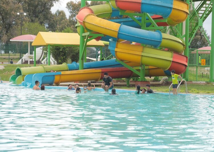 Zoo, acuario y alberca gratis en el ‘Festival del Día del Niño’ en Parque Viveros