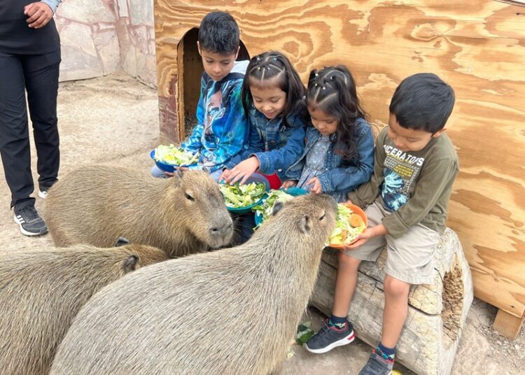 Zoo, acuario y alberca gratis en el ‘Festival del Día del Niño’ en Parque Viveros