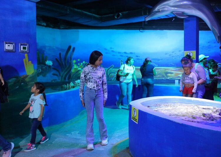 Zoo, acuario y alberca gratis en el ‘Festival del Día del Niño’ en Parque Viveros