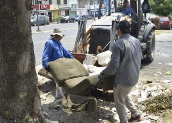 En Tampico limpian y combaten al dengue