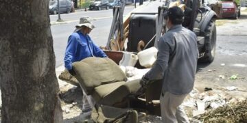 En Tampico limpian y combaten al dengue