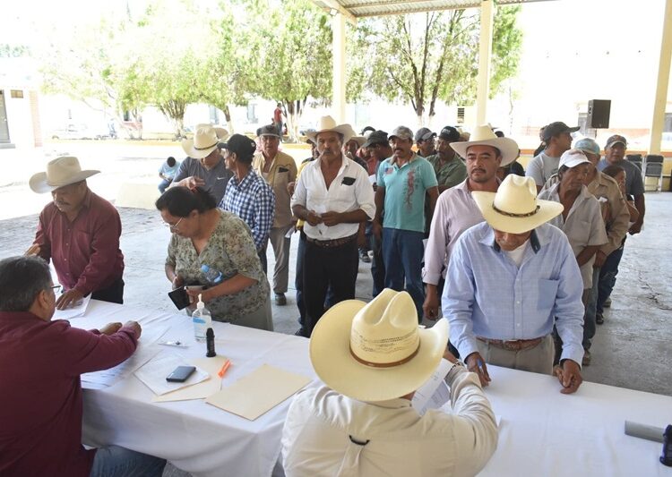 Abre Gobierno del Estado ventanillas para el registro de semilla de calidad