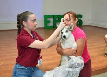 Concientizan a estudiantes del CONALEP sobre respeto a los animales