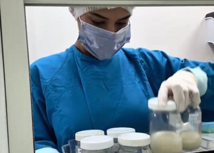 Conmemora SST ‘Día Mundial de la Donación de Leche Humana’