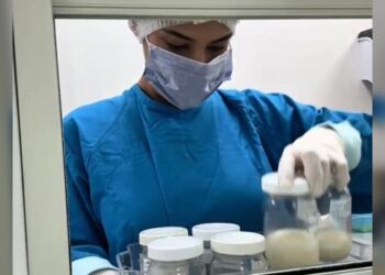 Conmemora SST ‘Día Mundial de la Donación de Leche Humana’