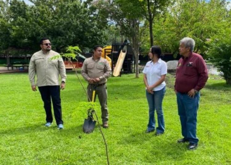 Consolida la UAT su compromiso con el medio ambiente a través de la FIC