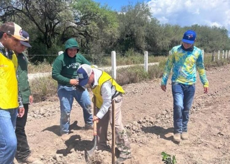 Consolida la UAT su compromiso con el medio ambiente a través de la FIC