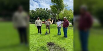 Consolida la UAT su compromiso con el medio ambiente a través de la FIC