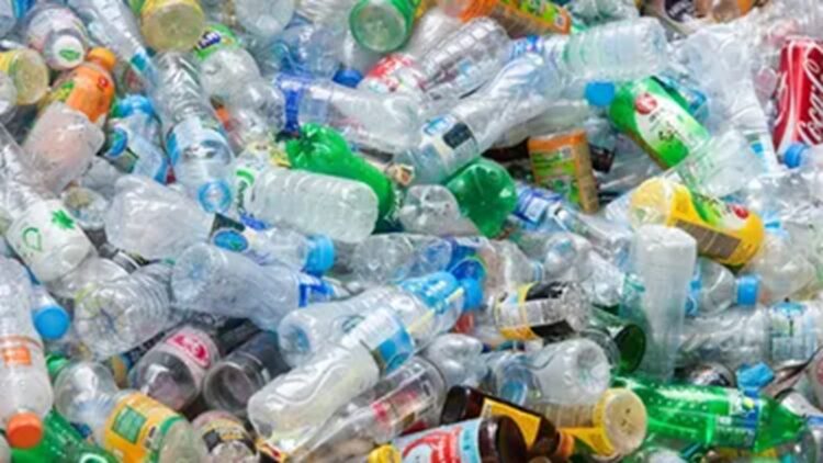 17 de mayo: ‘Día Mundial del Reciclaje’ 2025